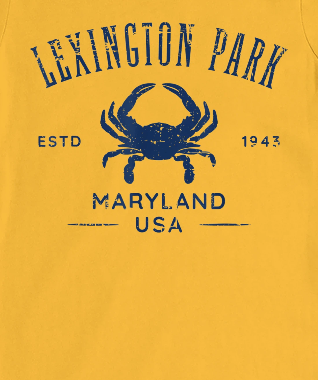 Lexington Park in Southern Maryland Est 1637 Distressed T-Shirt, Kid T-Shirt and Women T-Shirt