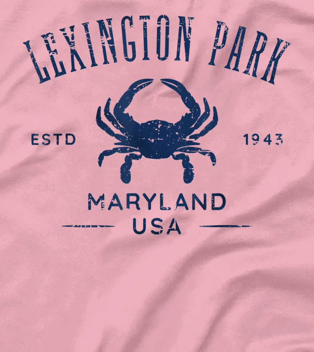 Lexington Park in Southern Maryland Est 1637 Distressed T-Shirt, Kid T-Shirt and Women T-Shirt