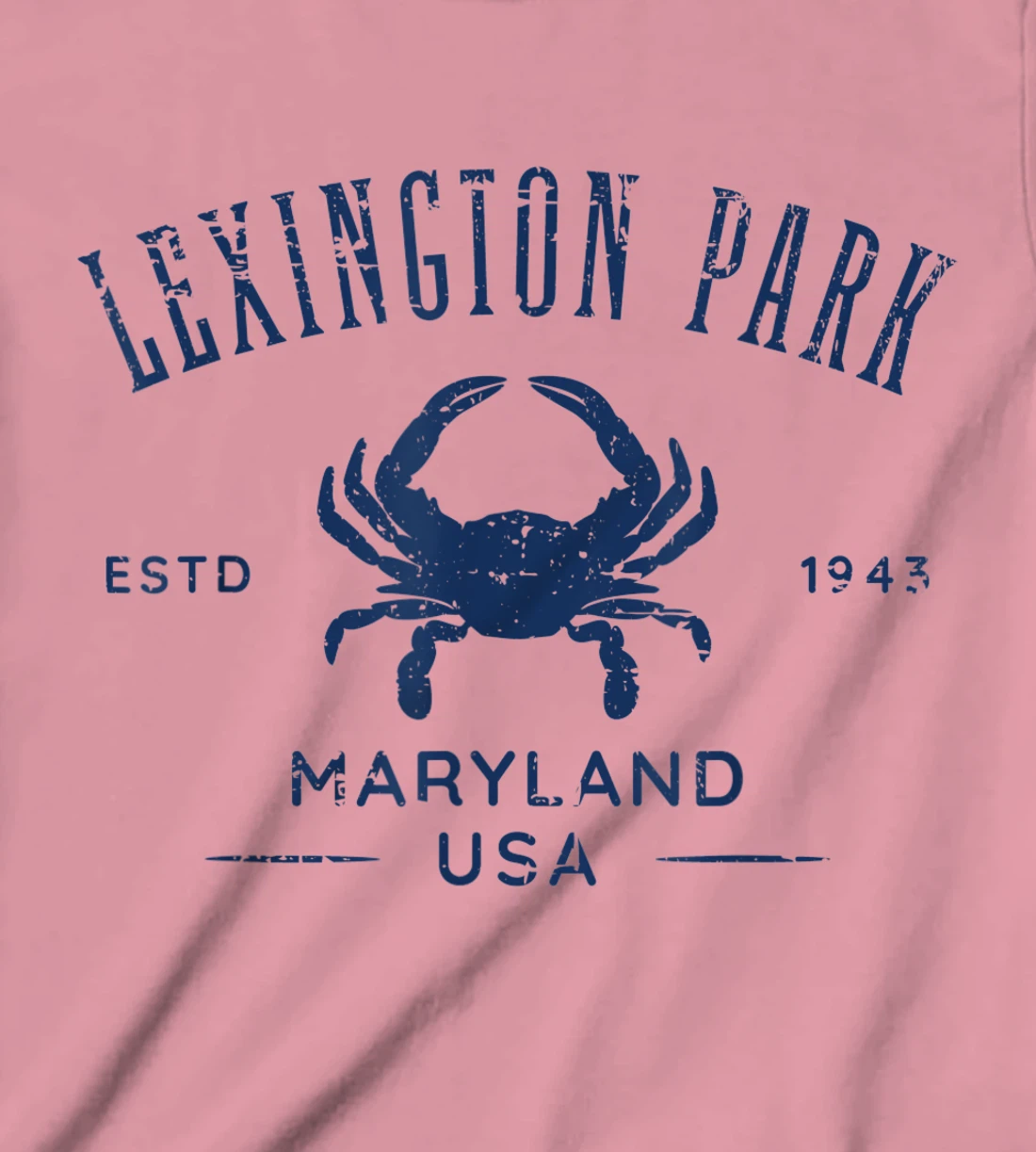 Lexington Park in Southern Maryland Est 1637 Distressed T-Shirt, Kid T-Shirt and Women T-Shirt