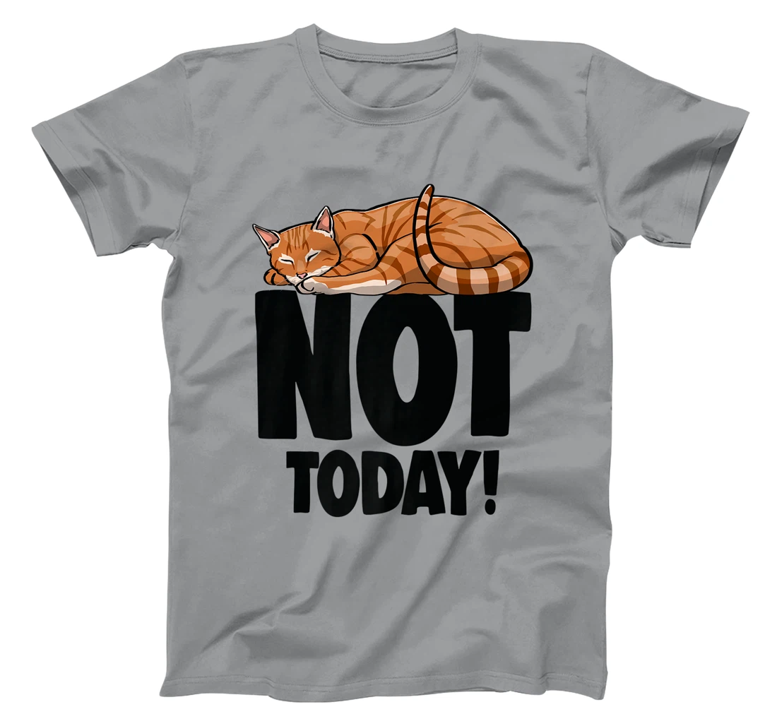 Womens Not Today Sleeping Cat Funny Cat Lovers Kitten T-Shirt, Women T-Shirt