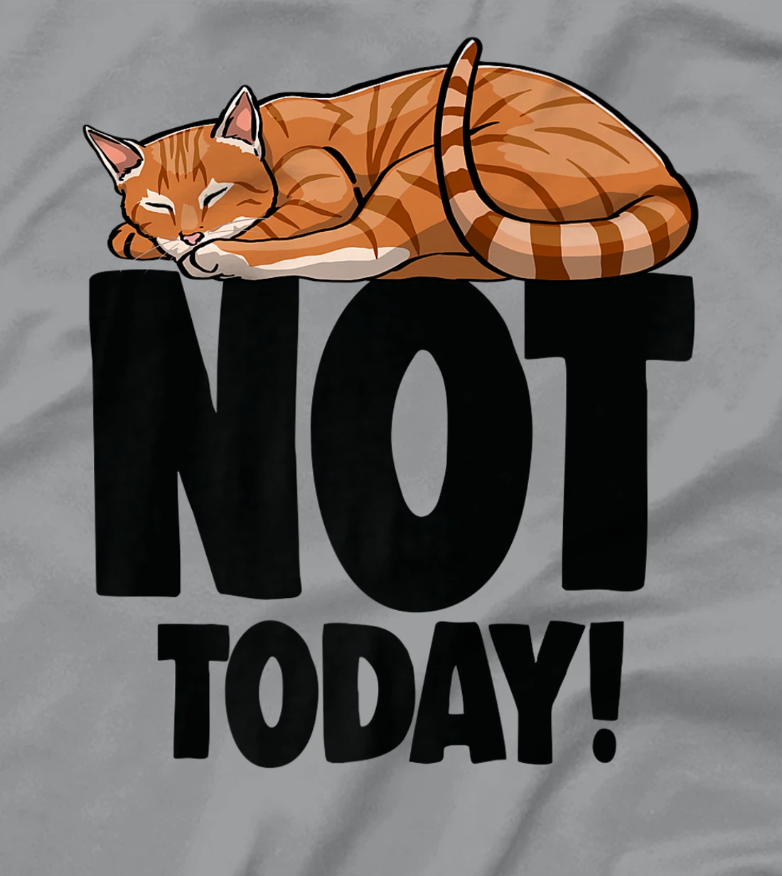 Womens Not Today Sleeping Cat Funny Cat Lovers Kitten T-Shirt, Women T-Shirt