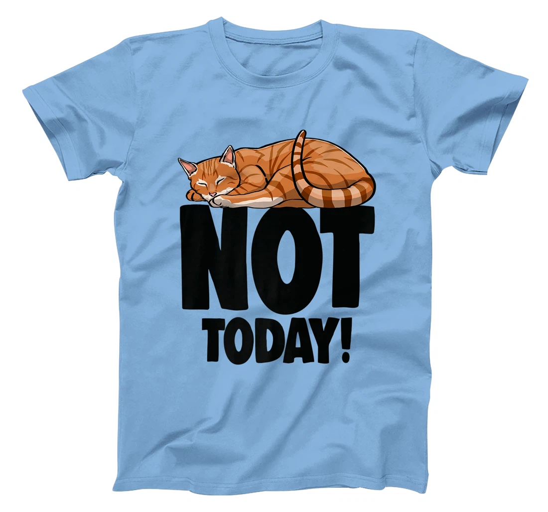 Womens Not Today Sleeping Cat Funny Cat Lovers Kitten T-Shirt, Women T-Shirt