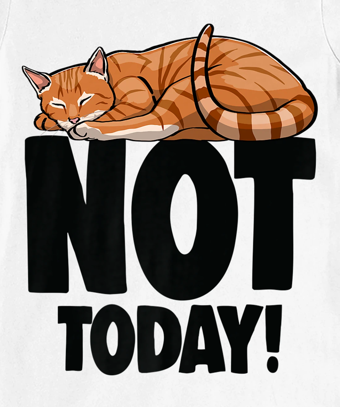 Womens Not Today Sleeping Cat Funny Cat Lovers Kitten T-Shirt, Women T-Shirt