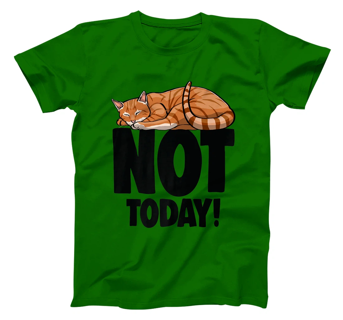 Womens Not Today Sleeping Cat Funny Cat Lovers Kitten T-Shirt, Women T-Shirt