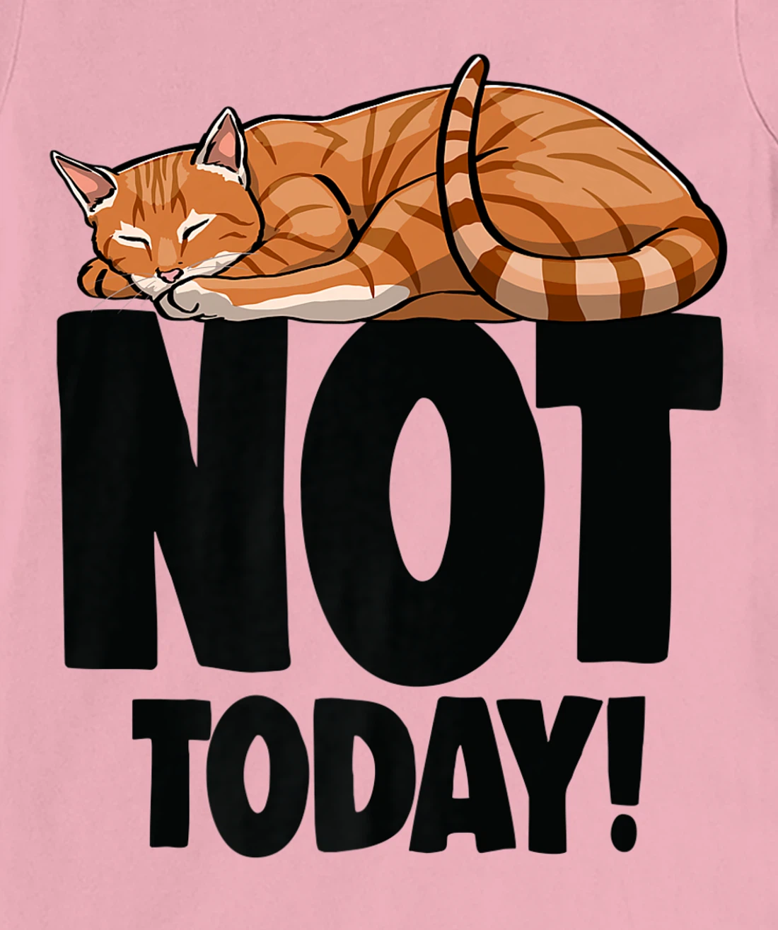 Womens Not Today Sleeping Cat Funny Cat Lovers Kitten T-Shirt, Women T-Shirt