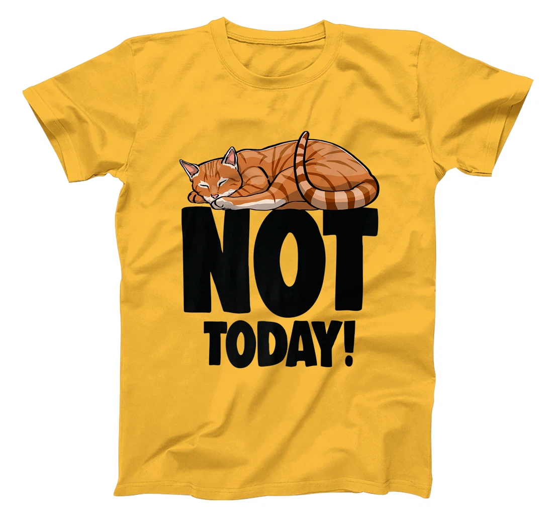 Womens Not Today Sleeping Cat Funny Cat Lovers Kitten T-Shirt, Women T-Shirt
