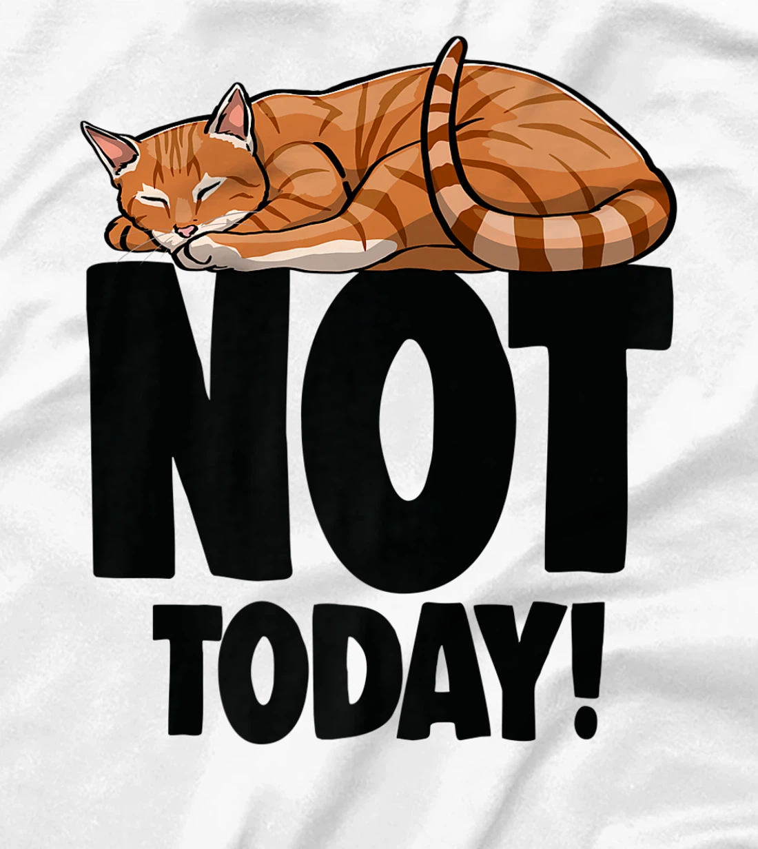 Womens Not Today Sleeping Cat Funny Cat Lovers Kitten T-Shirt, Women T-Shirt