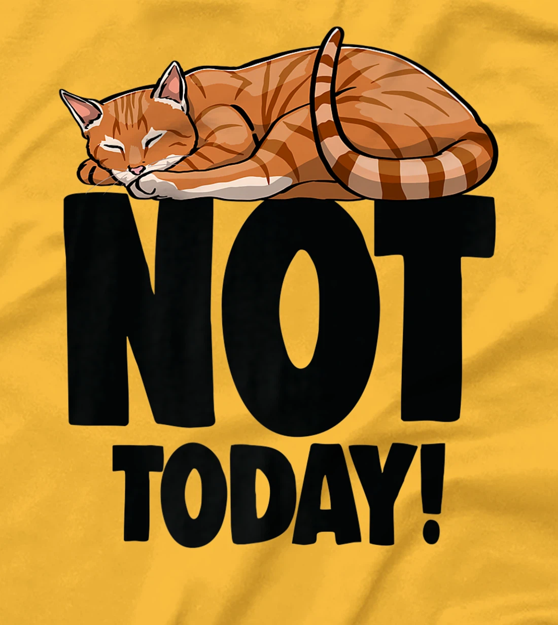 Womens Not Today Sleeping Cat Funny Cat Lovers Kitten T-Shirt, Women T-Shirt