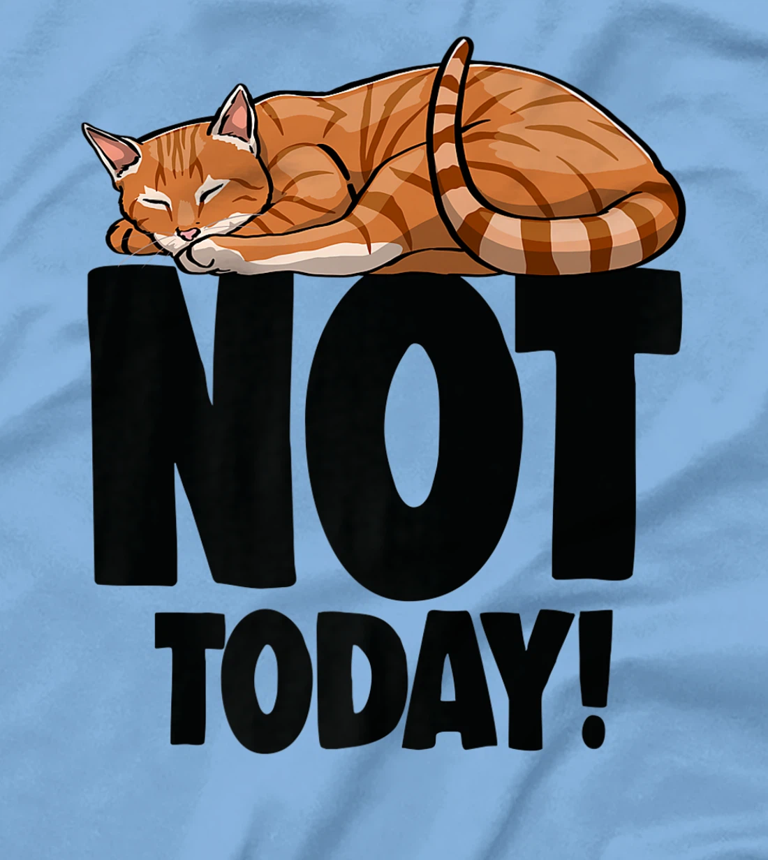 Womens Not Today Sleeping Cat Funny Cat Lovers Kitten T-Shirt, Women T-Shirt