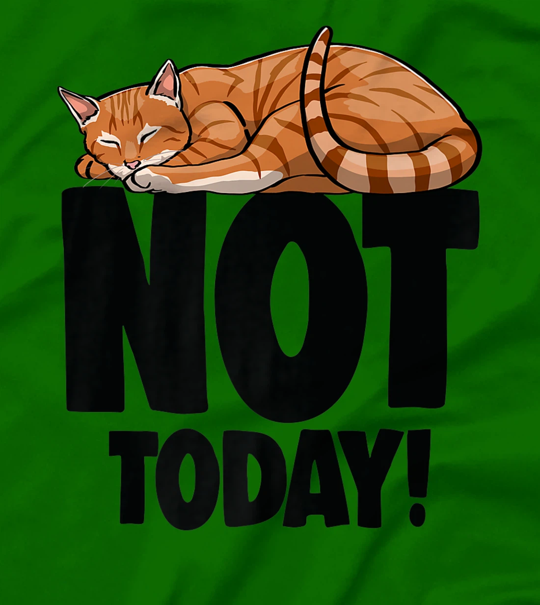 Womens Not Today Sleeping Cat Funny Cat Lovers Kitten T-Shirt, Women T-Shirt