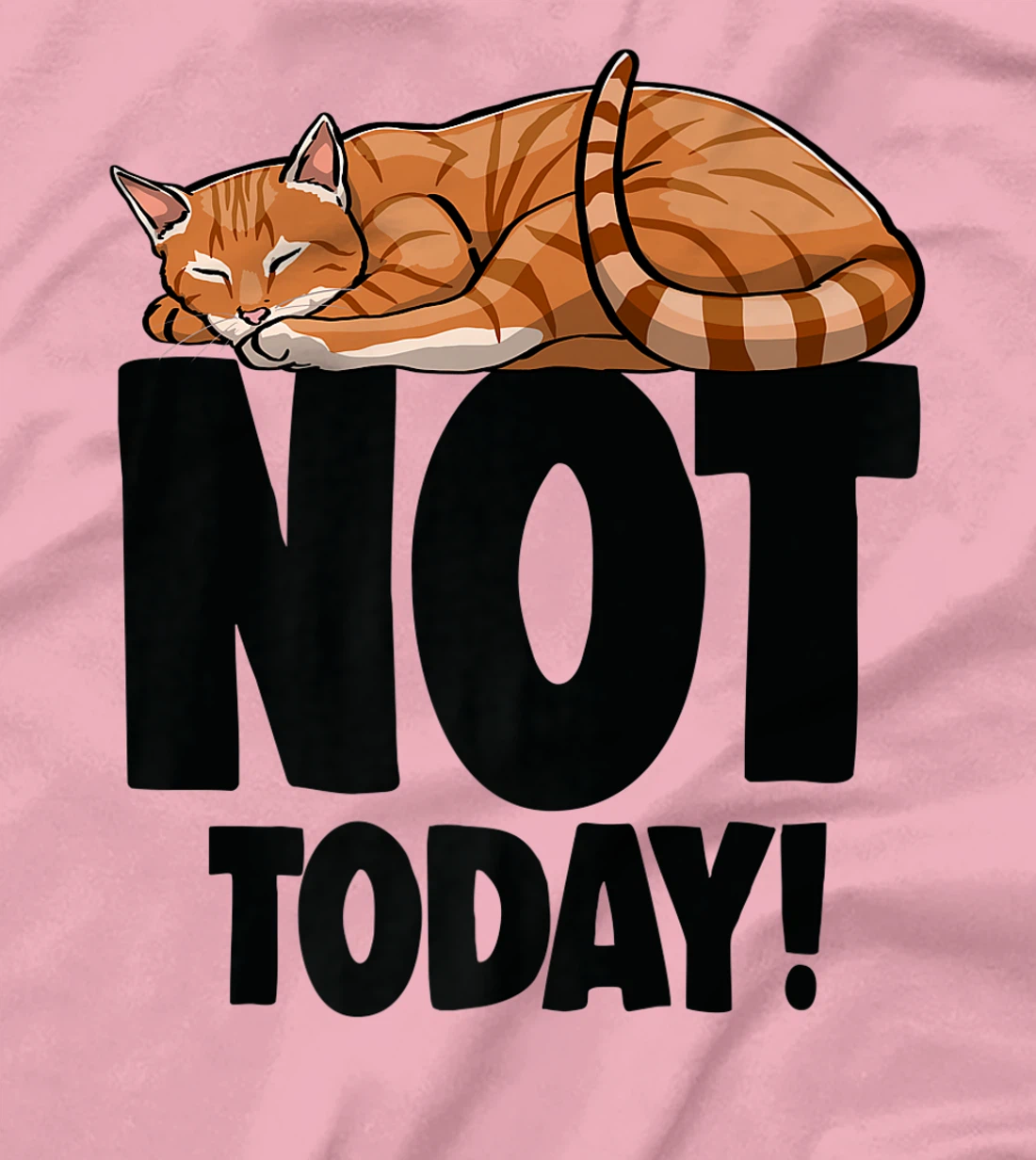 Womens Not Today Sleeping Cat Funny Cat Lovers Kitten T-Shirt, Women T-Shirt