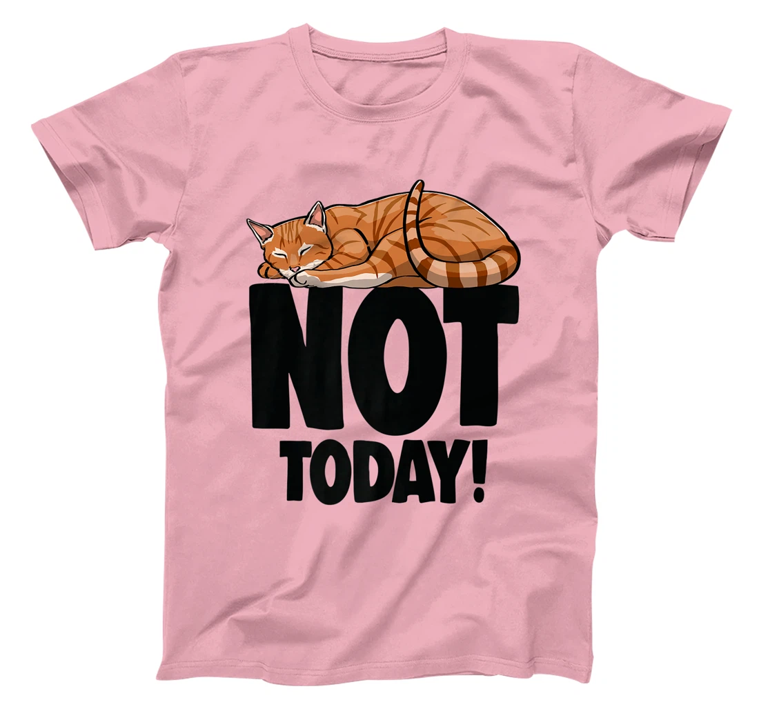 Womens Not Today Sleeping Cat Funny Cat Lovers Kitten T-Shirt, Women T-Shirt