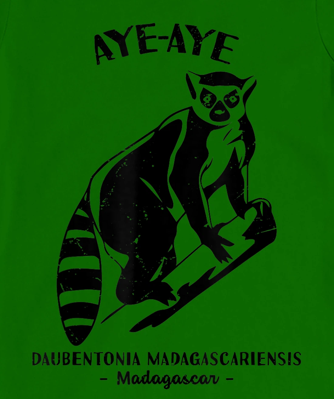 Womens Aye Aye Madagascar Wildlife Biologist Protect Wildlife Day T-Shirt, Kid T-Shirt and Women T-Shirt