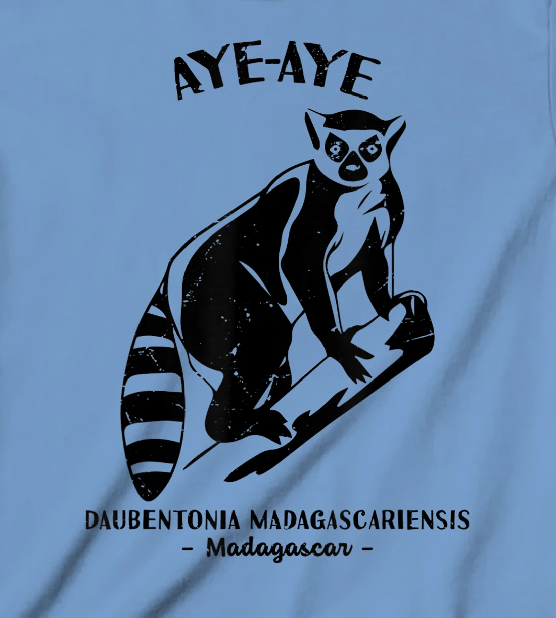 Womens Aye Aye Madagascar Wildlife Biologist Protect Wildlife Day T-Shirt, Kid T-Shirt and Women T-Shirt
