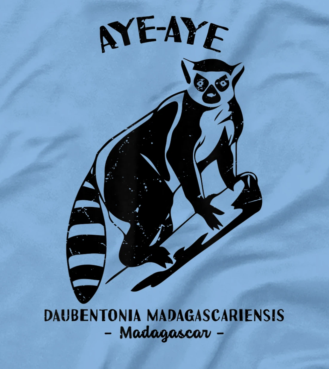 Womens Aye Aye Madagascar Wildlife Biologist Protect Wildlife Day T-Shirt, Kid T-Shirt and Women T-Shirt