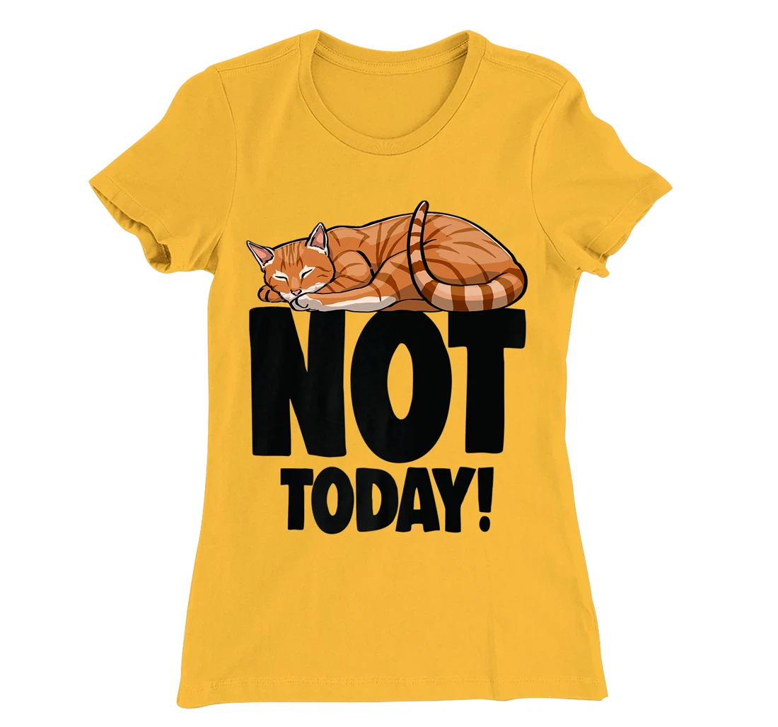 Womens Not Today Sleeping Cat Funny Cat Lovers Kitten T-Shirt, Women T-Shirt