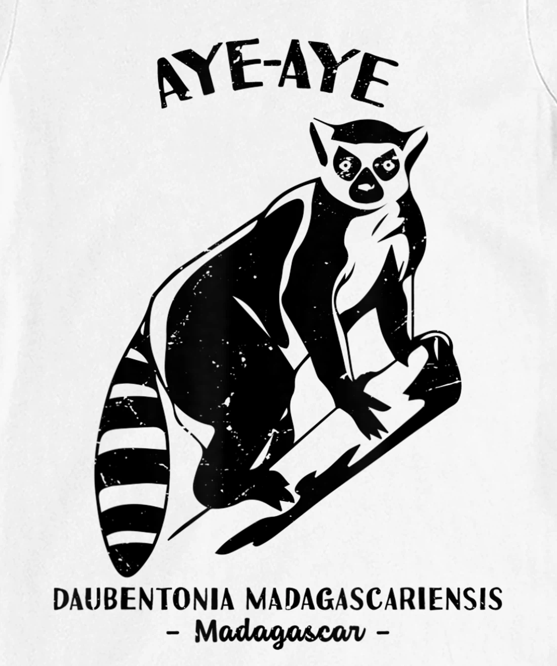 Womens Aye Aye Madagascar Wildlife Biologist Protect Wildlife Day T-Shirt, Kid T-Shirt and Women T-Shirt