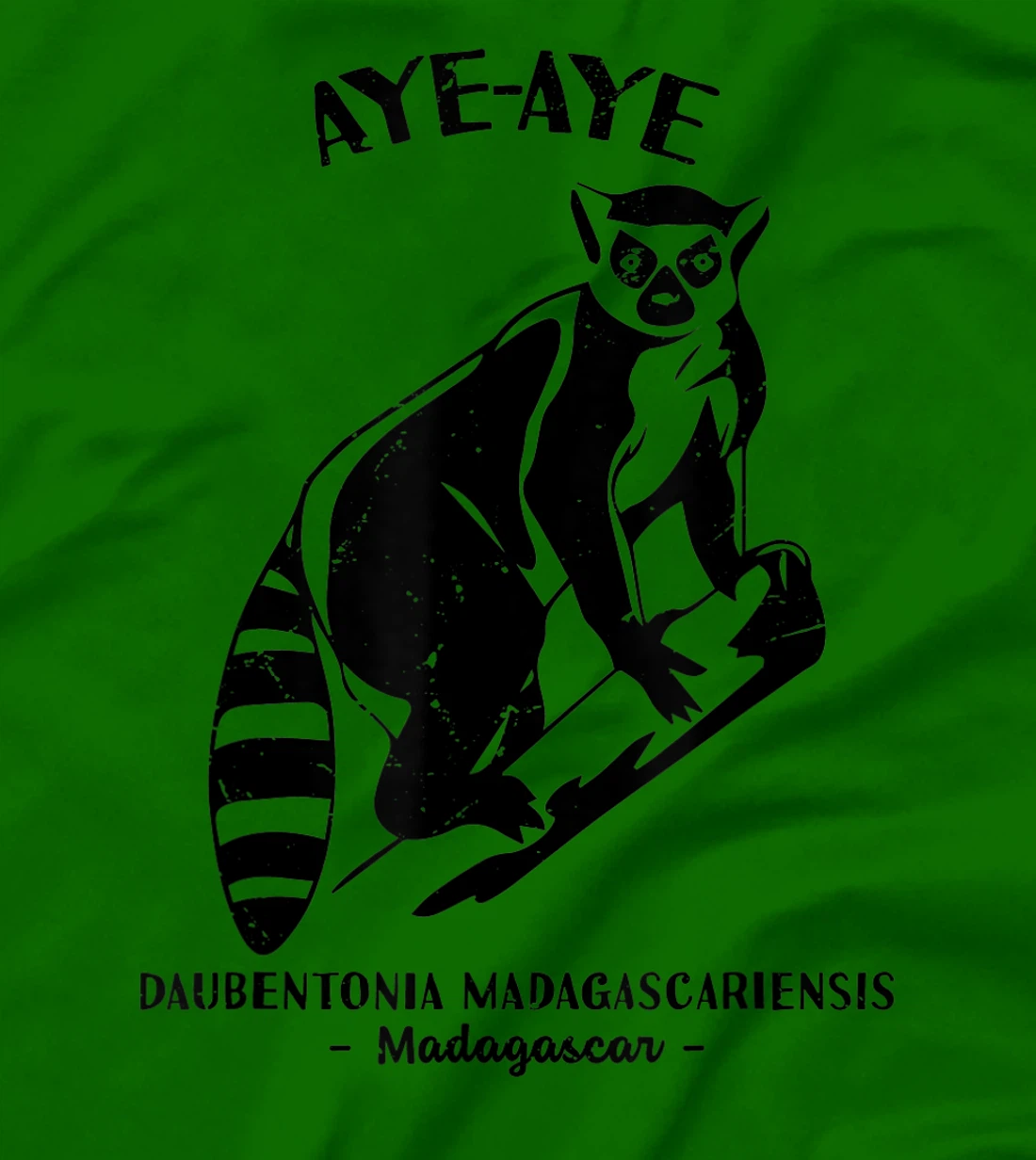 Womens Aye Aye Madagascar Wildlife Biologist Protect Wildlife Day T-Shirt, Kid T-Shirt and Women T-Shirt