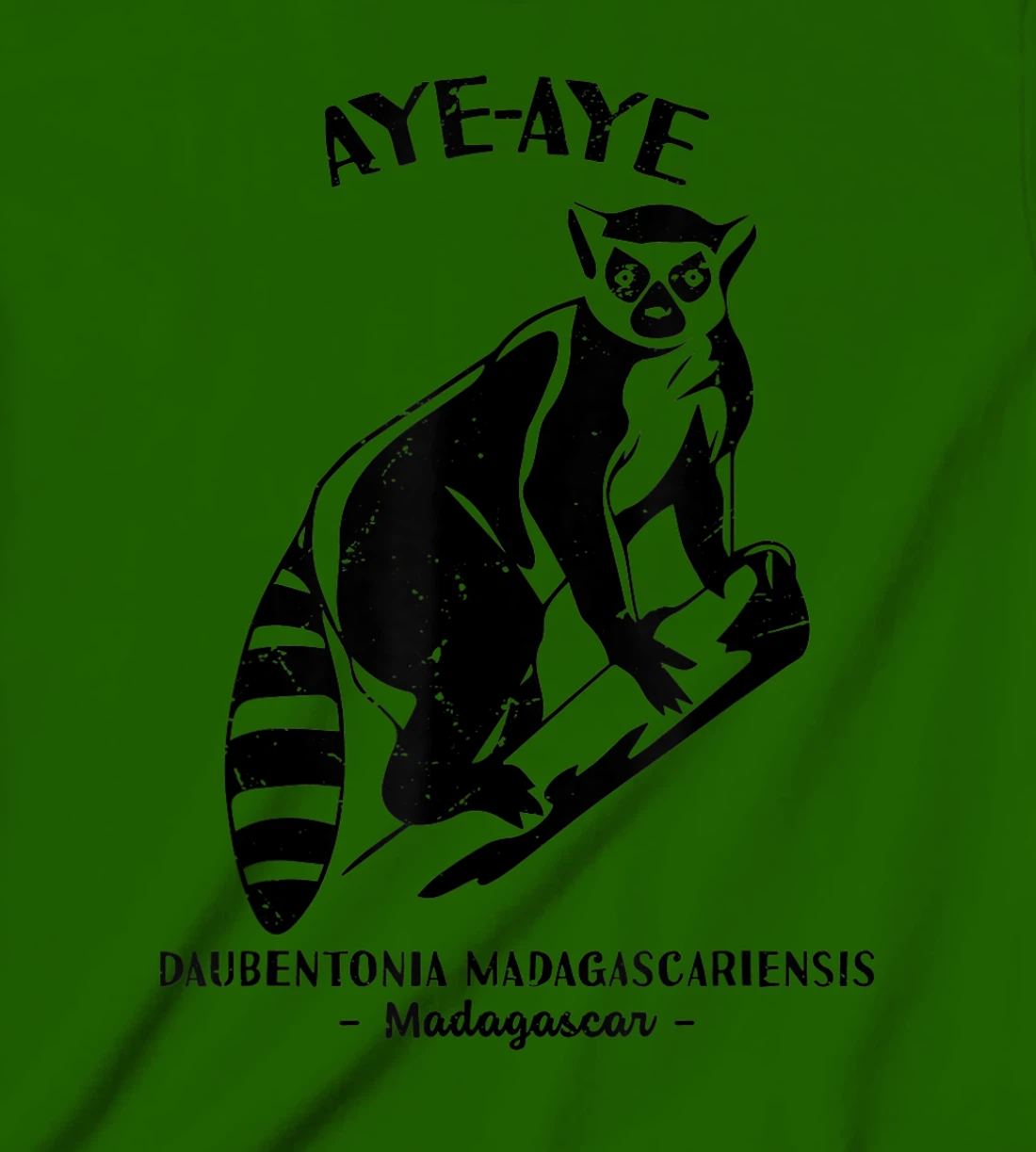 Womens Aye Aye Madagascar Wildlife Biologist Protect Wildlife Day T-Shirt, Kid T-Shirt and Women T-Shirt