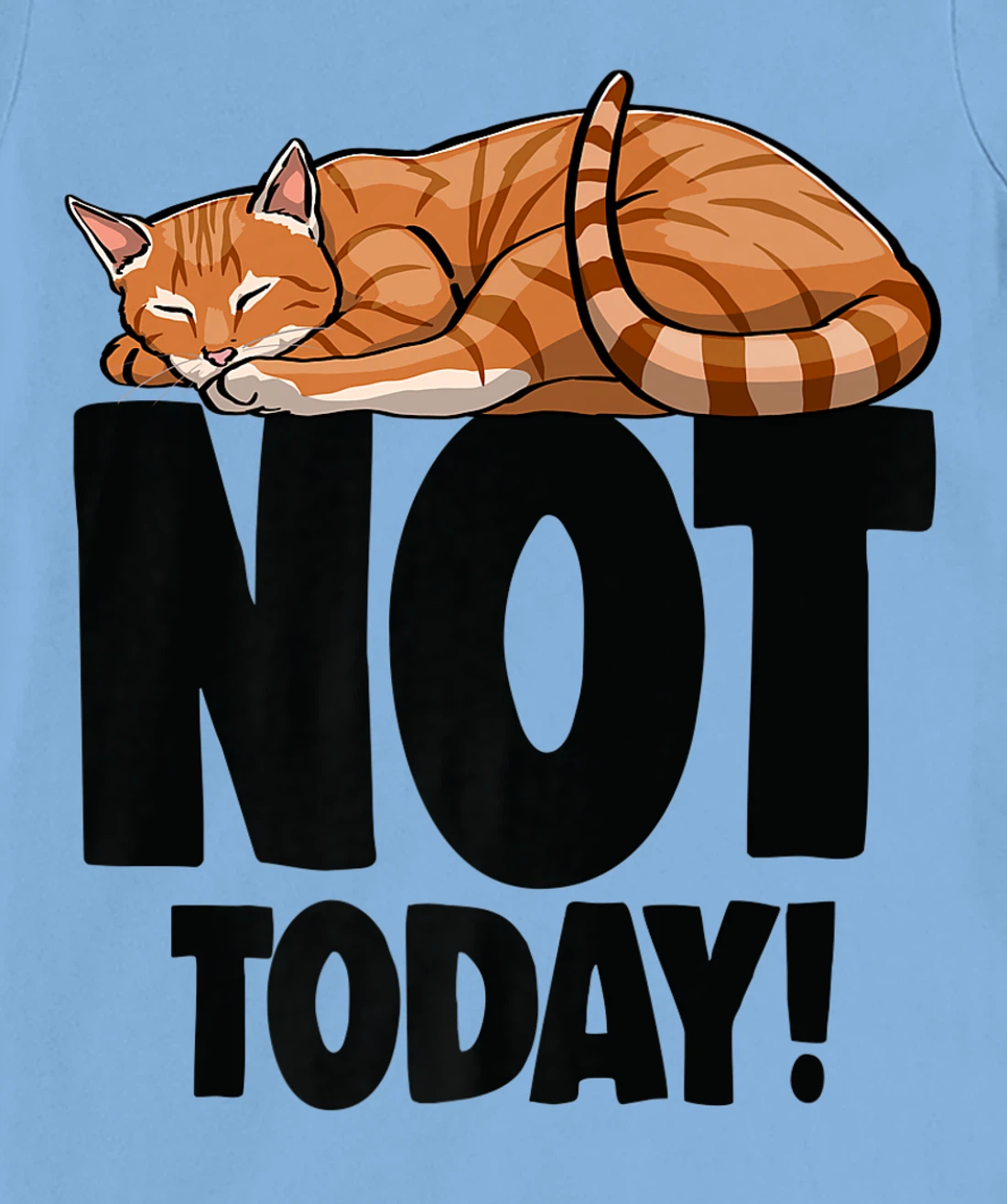 Womens Not Today Sleeping Cat Funny Cat Lovers Kitten T-Shirt, Women T-Shirt