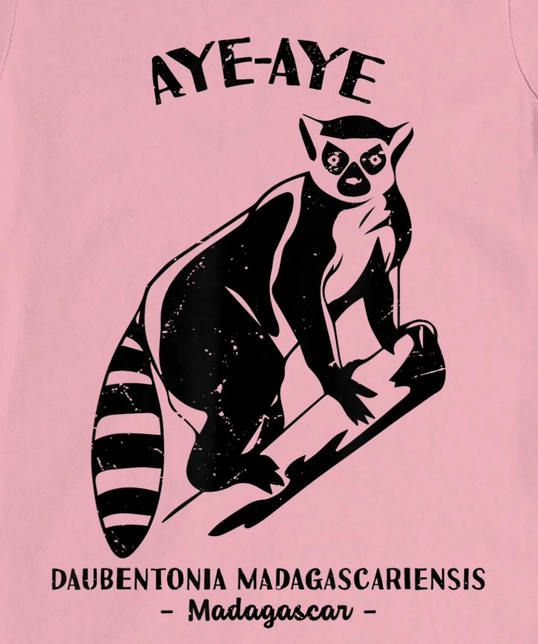 Womens Aye Aye Madagascar Wildlife Biologist Protect Wildlife Day T-Shirt, Kid T-Shirt and Women T-Shirt