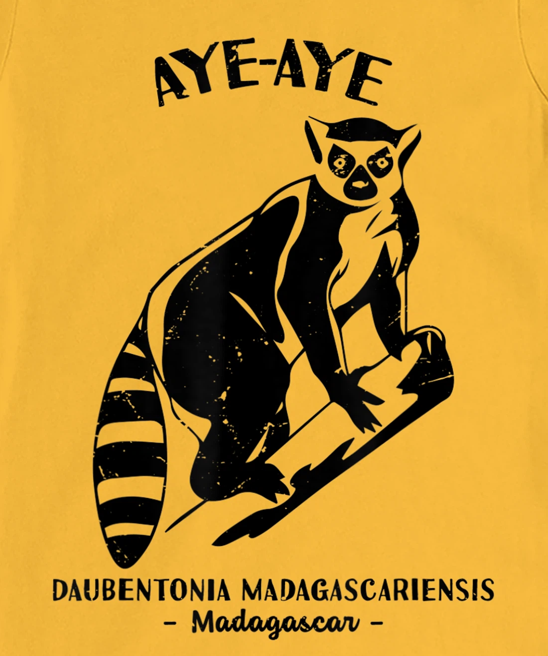 Womens Aye Aye Madagascar Wildlife Biologist Protect Wildlife Day T-Shirt, Kid T-Shirt and Women T-Shirt