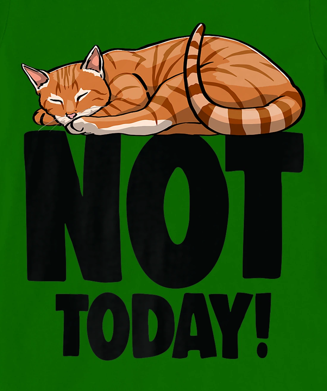 Womens Not Today Sleeping Cat Funny Cat Lovers Kitten T-Shirt, Women T-Shirt