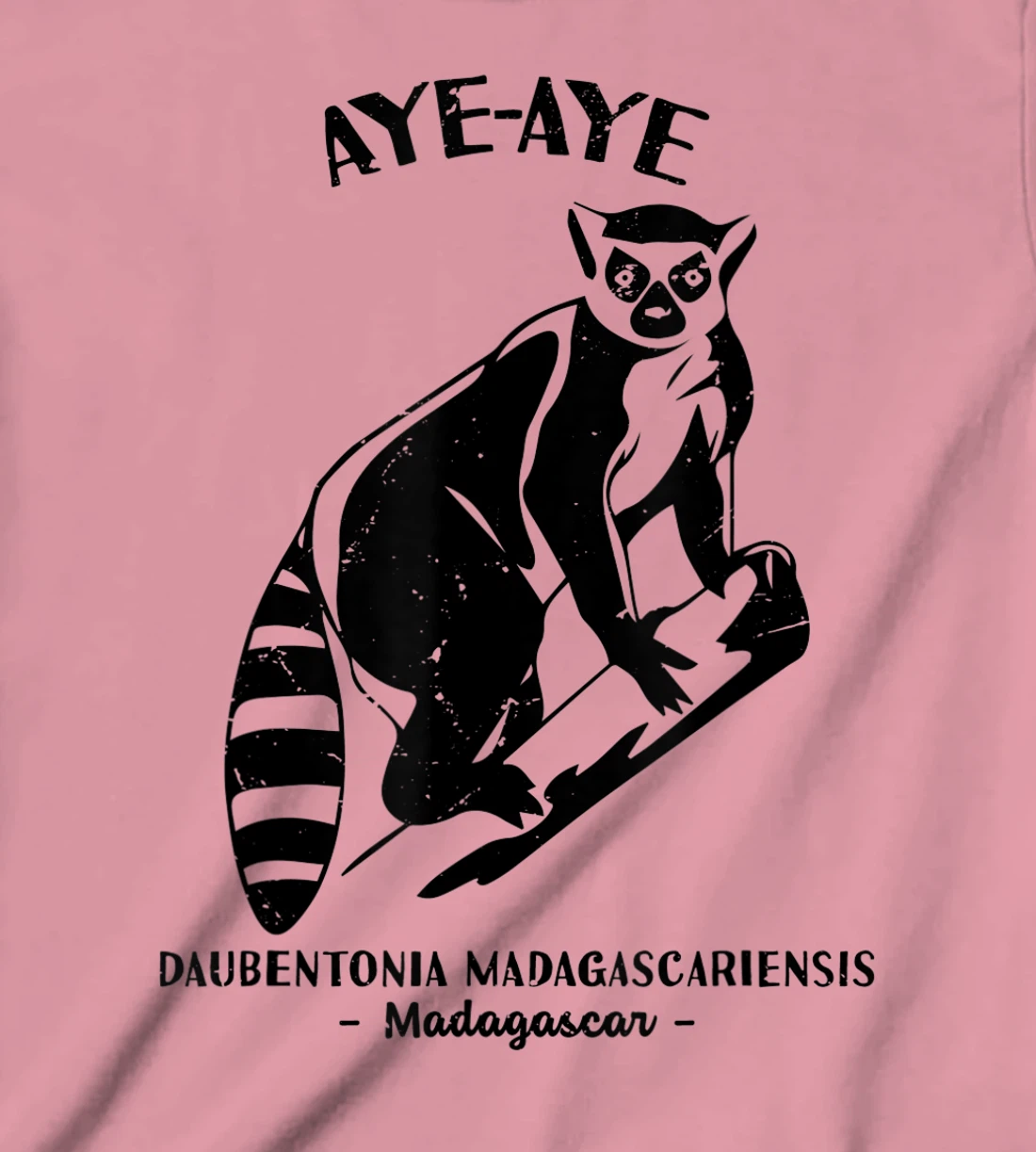 Womens Aye Aye Madagascar Wildlife Biologist Protect Wildlife Day T-Shirt, Kid T-Shirt and Women T-Shirt