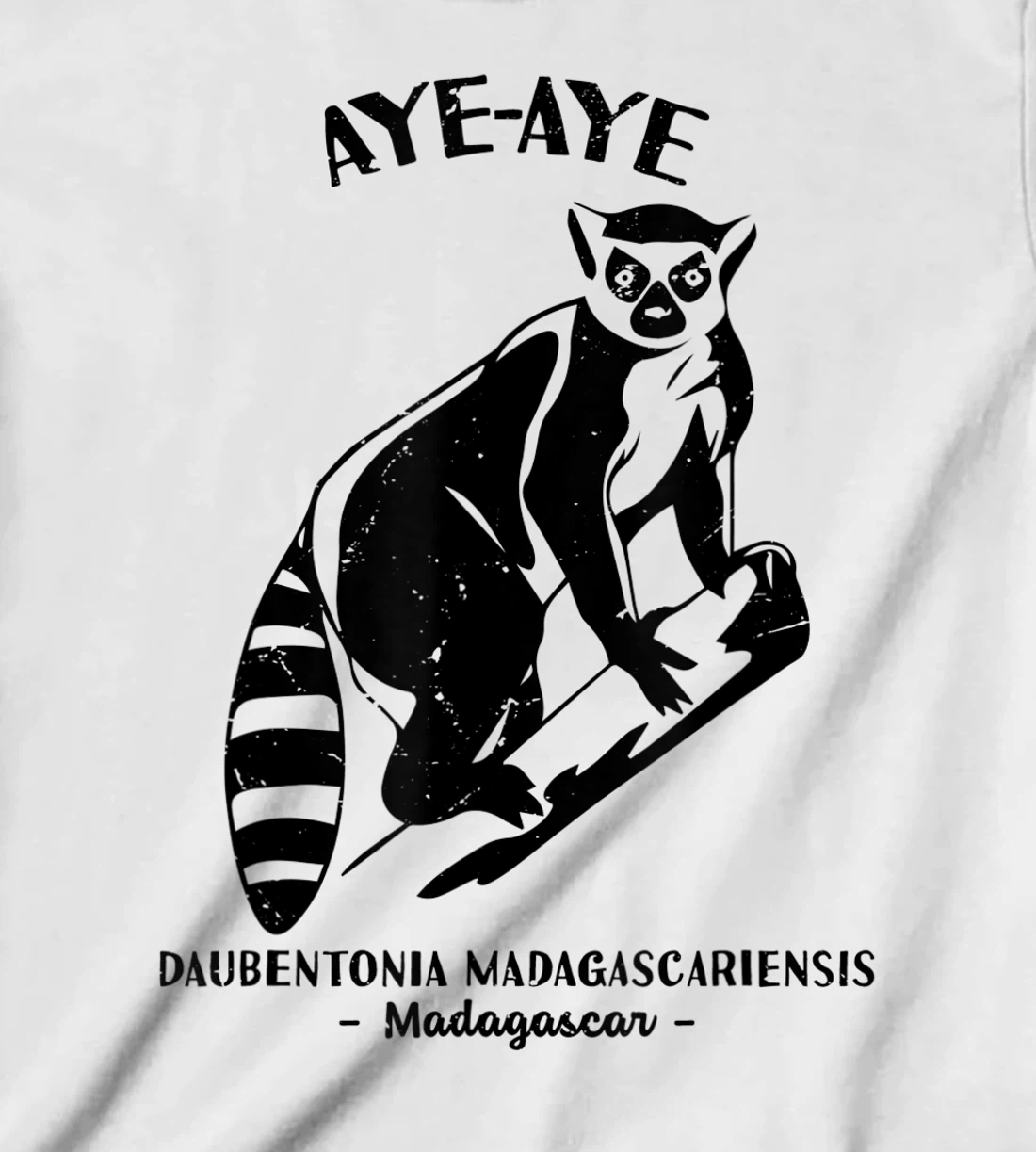 Womens Aye Aye Madagascar Wildlife Biologist Protect Wildlife Day T-Shirt, Kid T-Shirt and Women T-Shirt