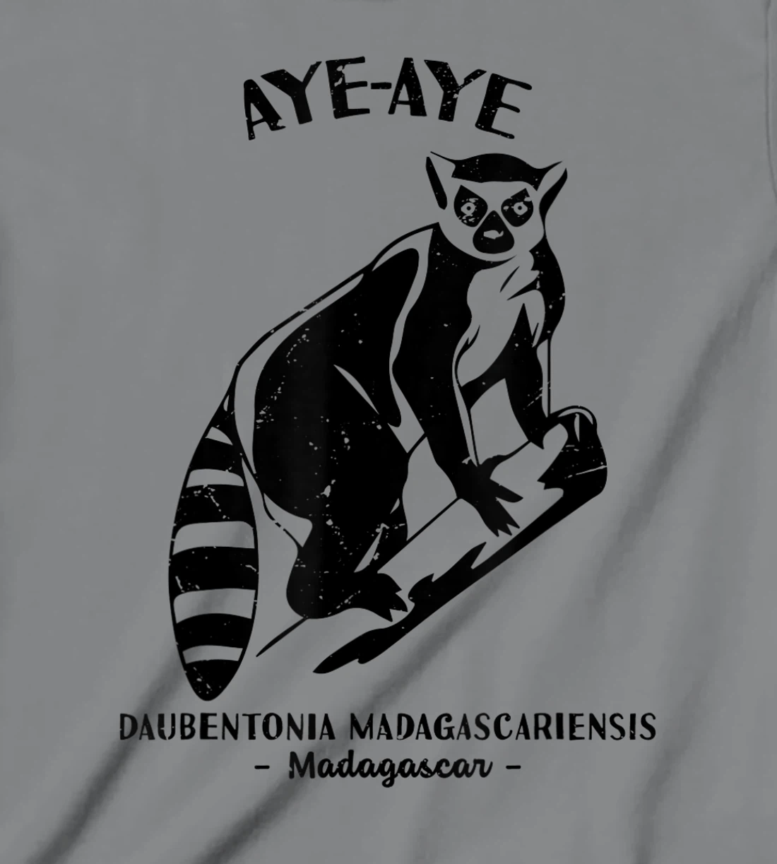Womens Aye Aye Madagascar Wildlife Biologist Protect Wildlife Day T-Shirt, Kid T-Shirt and Women T-Shirt