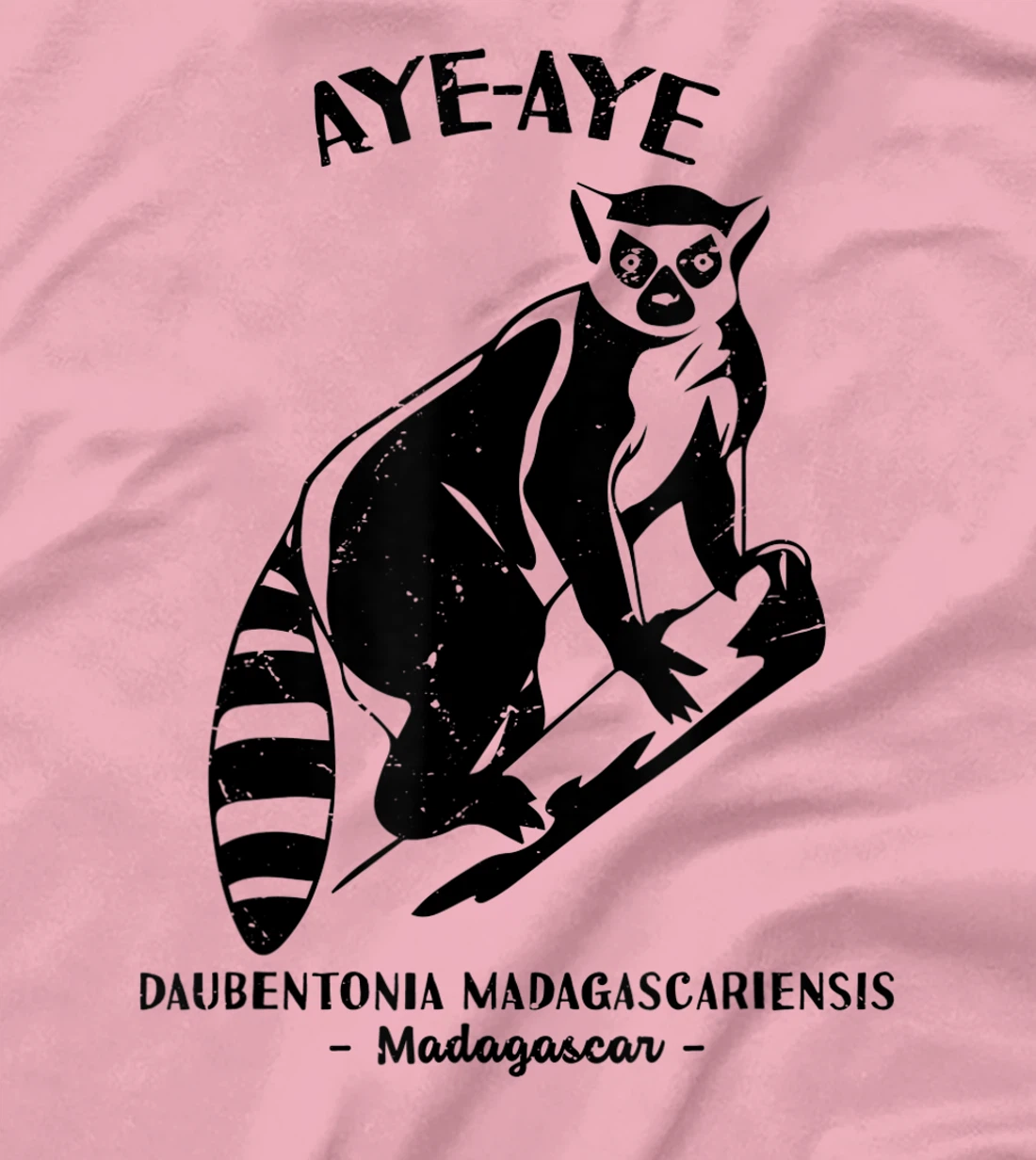 Womens Aye Aye Madagascar Wildlife Biologist Protect Wildlife Day T-Shirt, Kid T-Shirt and Women T-Shirt