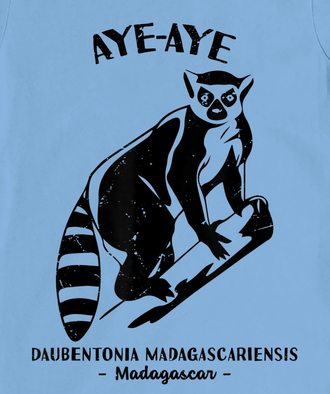 Womens Aye Aye Madagascar Wildlife Biologist Protect Wildlife Day T-Shirt, Kid T-Shirt and Women T-Shirt