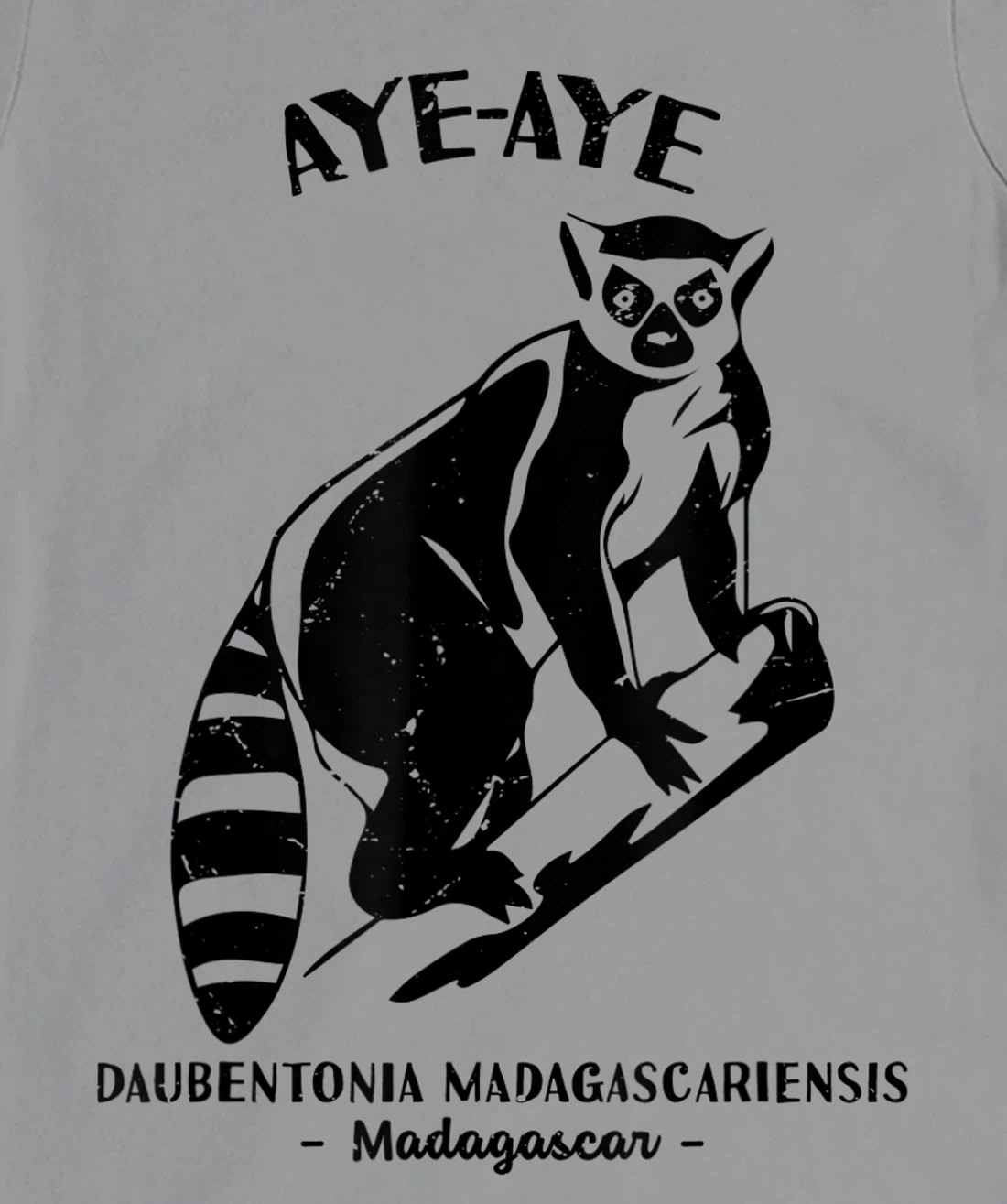 Womens Aye Aye Madagascar Wildlife Biologist Protect Wildlife Day T-Shirt, Kid T-Shirt and Women T-Shirt