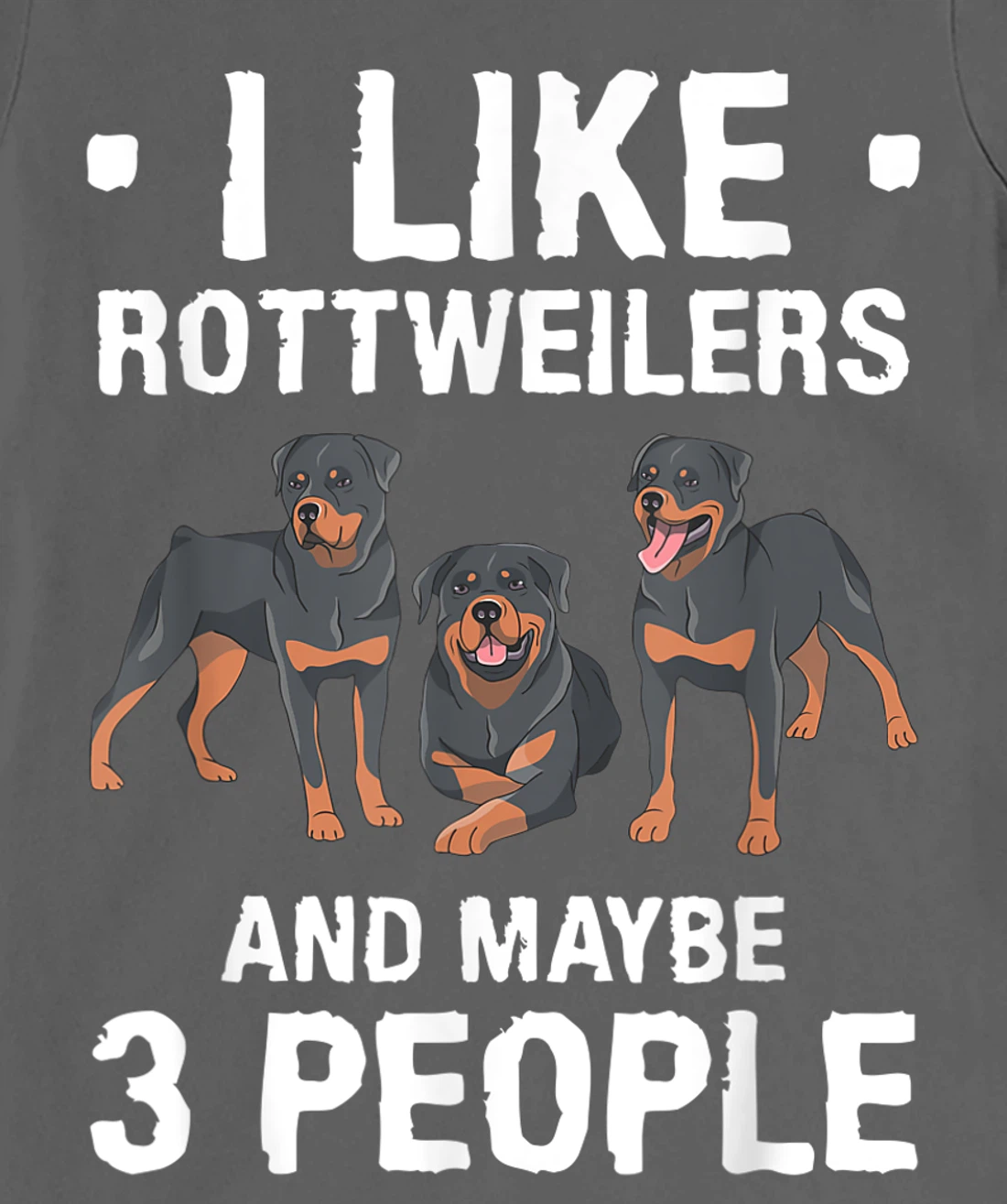 I Like Rottweilers And Maybe 3 People Dog Lover T-Shirt, Women T-Shirt