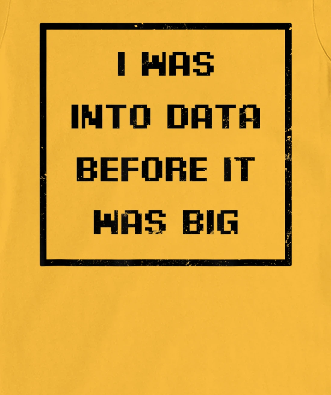 I Was Into Data Before It Was Big Design Data Nerd T-Shirt, Women T-Shirt