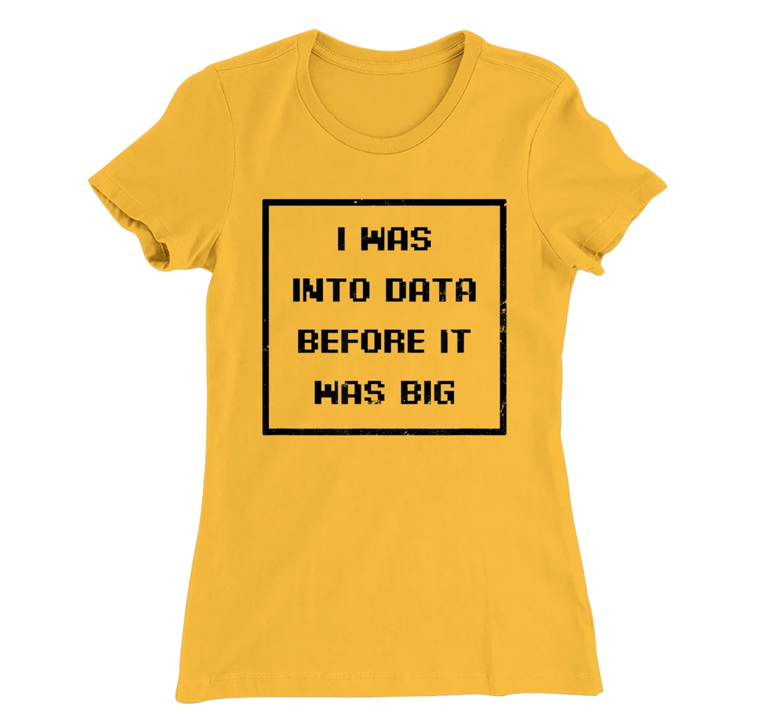 I Was Into Data Before It Was Big Design Data Nerd T-Shirt, Women T-Shirt