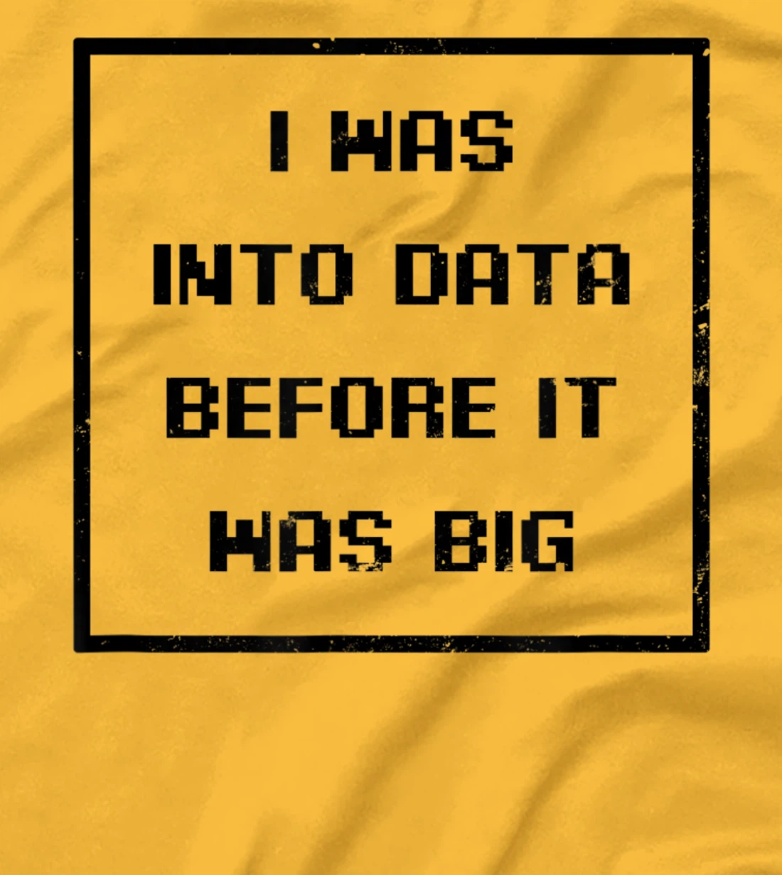 I Was Into Data Before It Was Big Design Data Nerd T-Shirt, Women T-Shirt