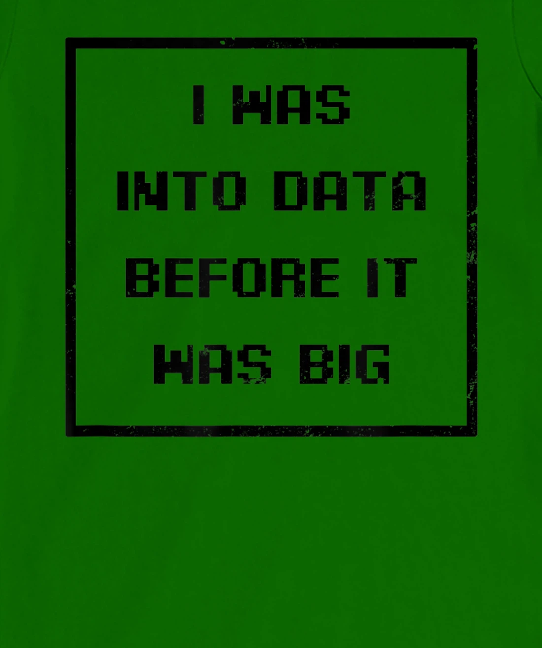 I Was Into Data Before It Was Big Design Data Nerd T-Shirt, Women T-Shirt