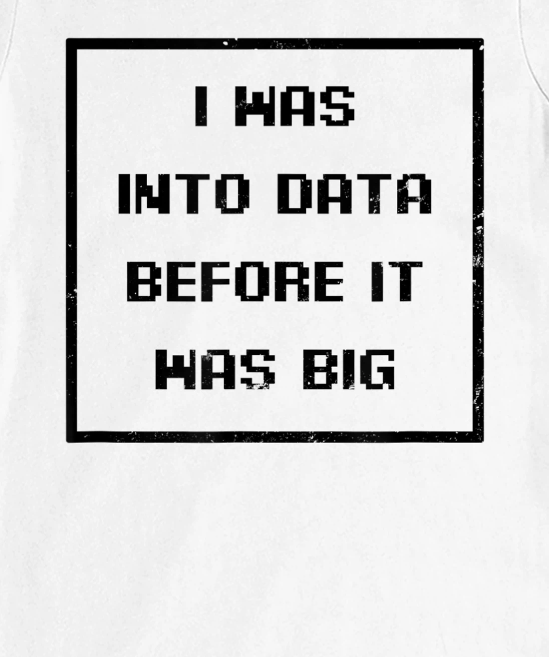 I Was Into Data Before It Was Big Design Data Nerd T-Shirt, Women T-Shirt
