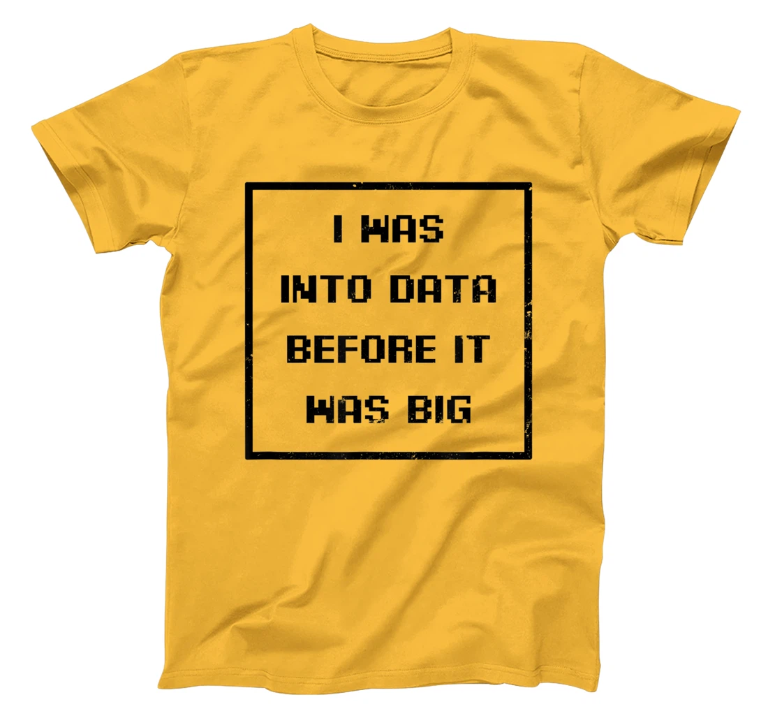 I Was Into Data Before It Was Big Design Data Nerd T-Shirt, Women T-Shirt
