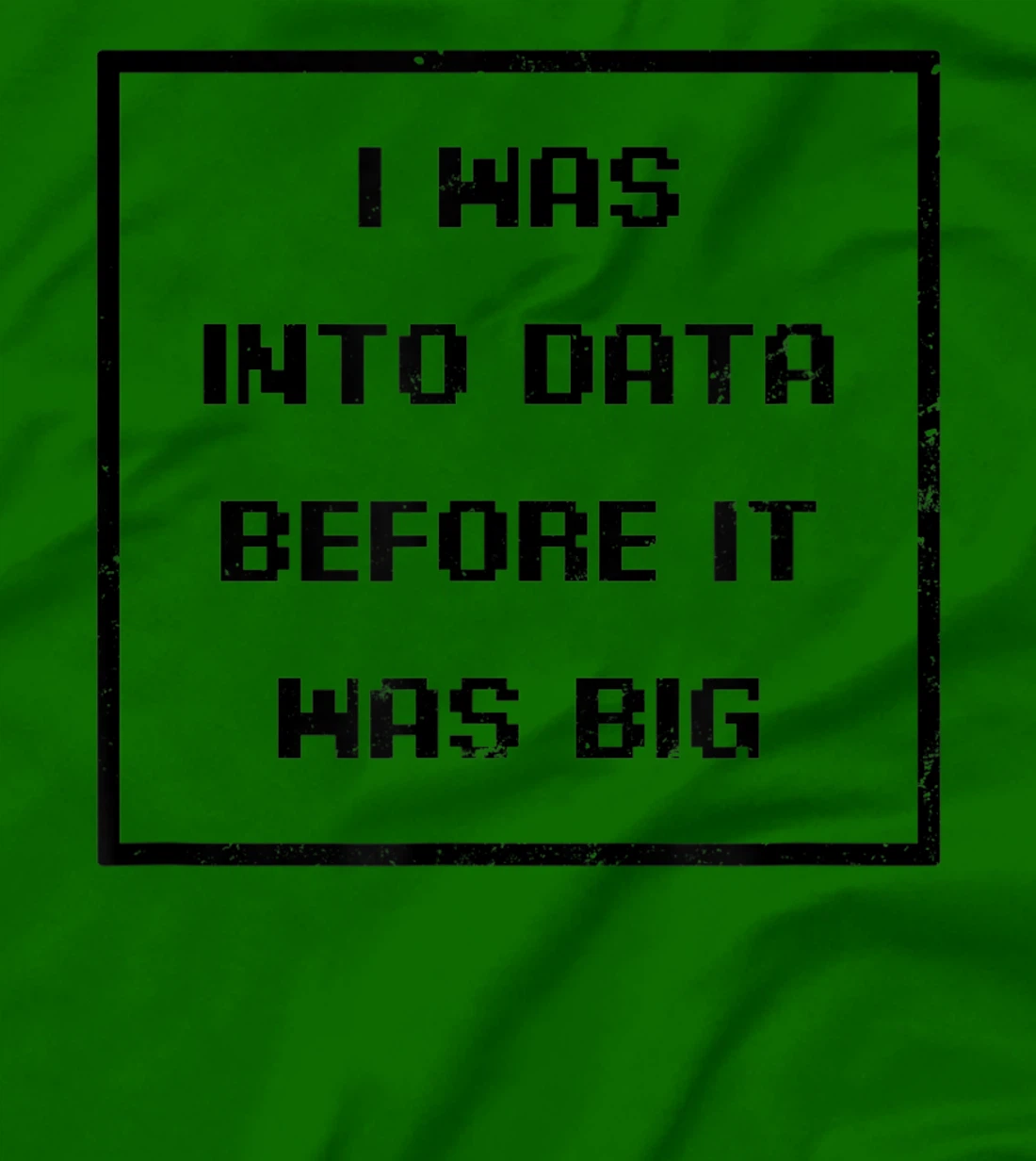 I Was Into Data Before It Was Big Design Data Nerd T-Shirt, Women T-Shirt