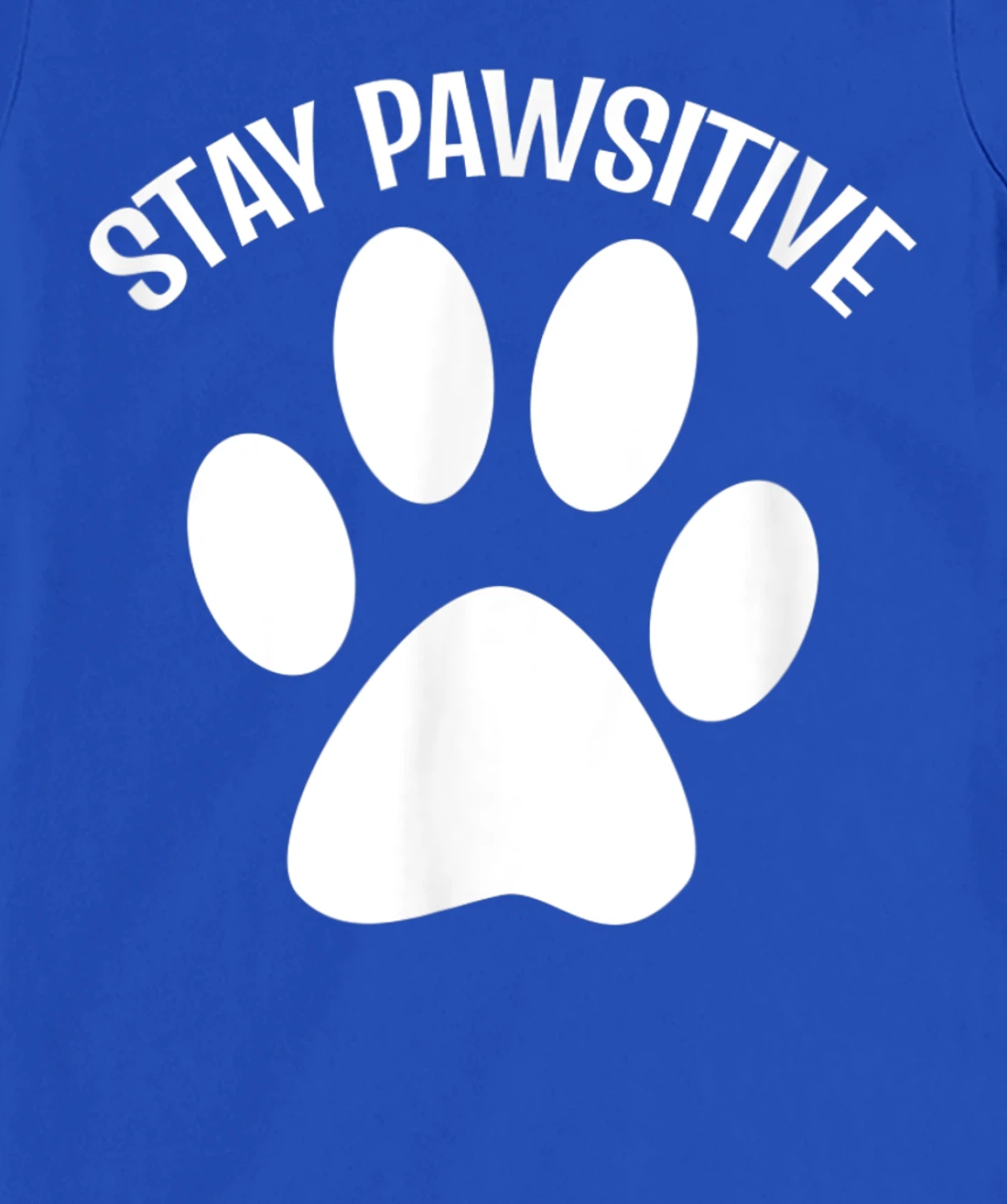 Stay Pawsitive Dog Person T-Shirt, Women T-Shirt
