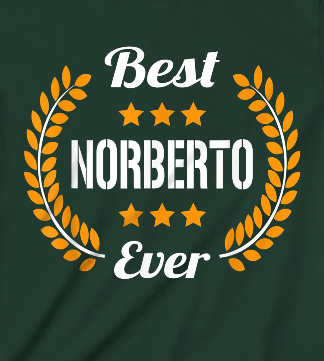 Best Norberto Ever Funny Saying First Name Norberto T-Shirt, Kid T-Shirt and Women T-Shirt