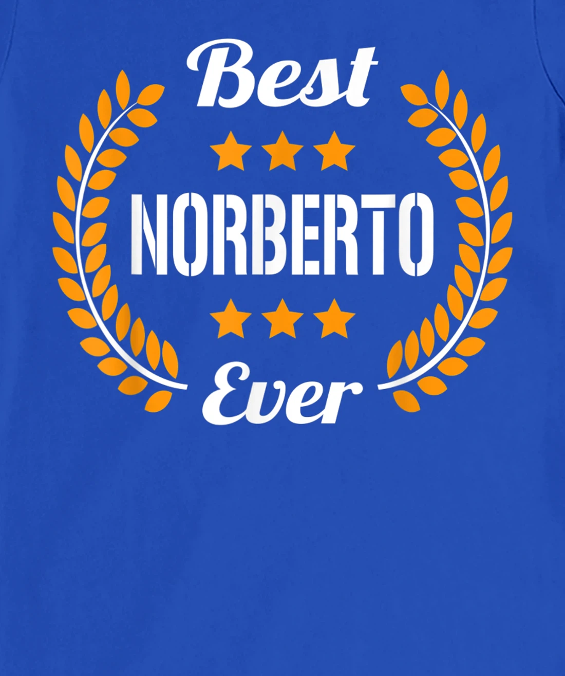 Best Norberto Ever Funny Saying First Name Norberto T-Shirt, Kid T-Shirt and Women T-Shirt