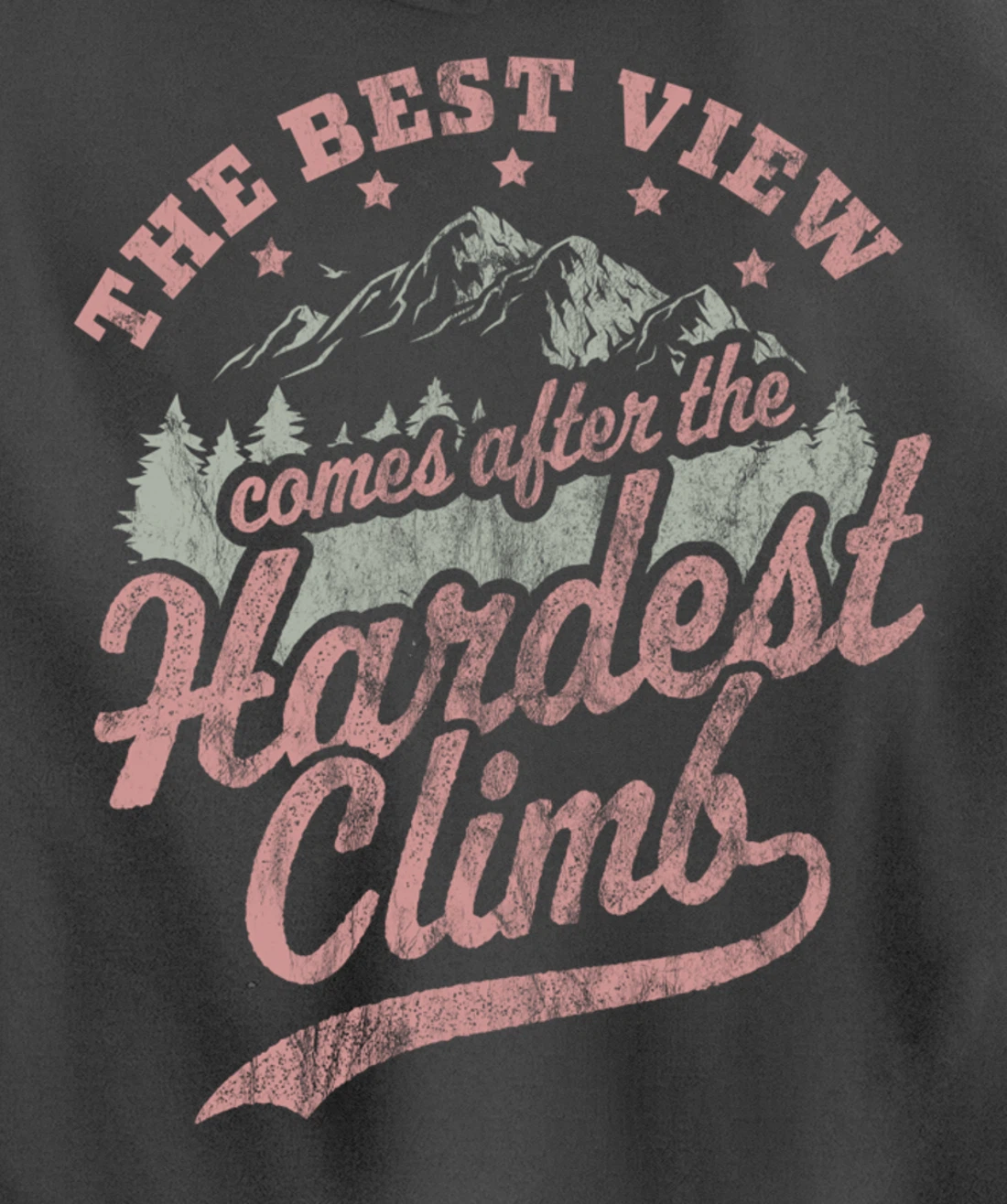 The Best View Comes After The Hardest Climb Hiking Vintage Pullover Hoodie