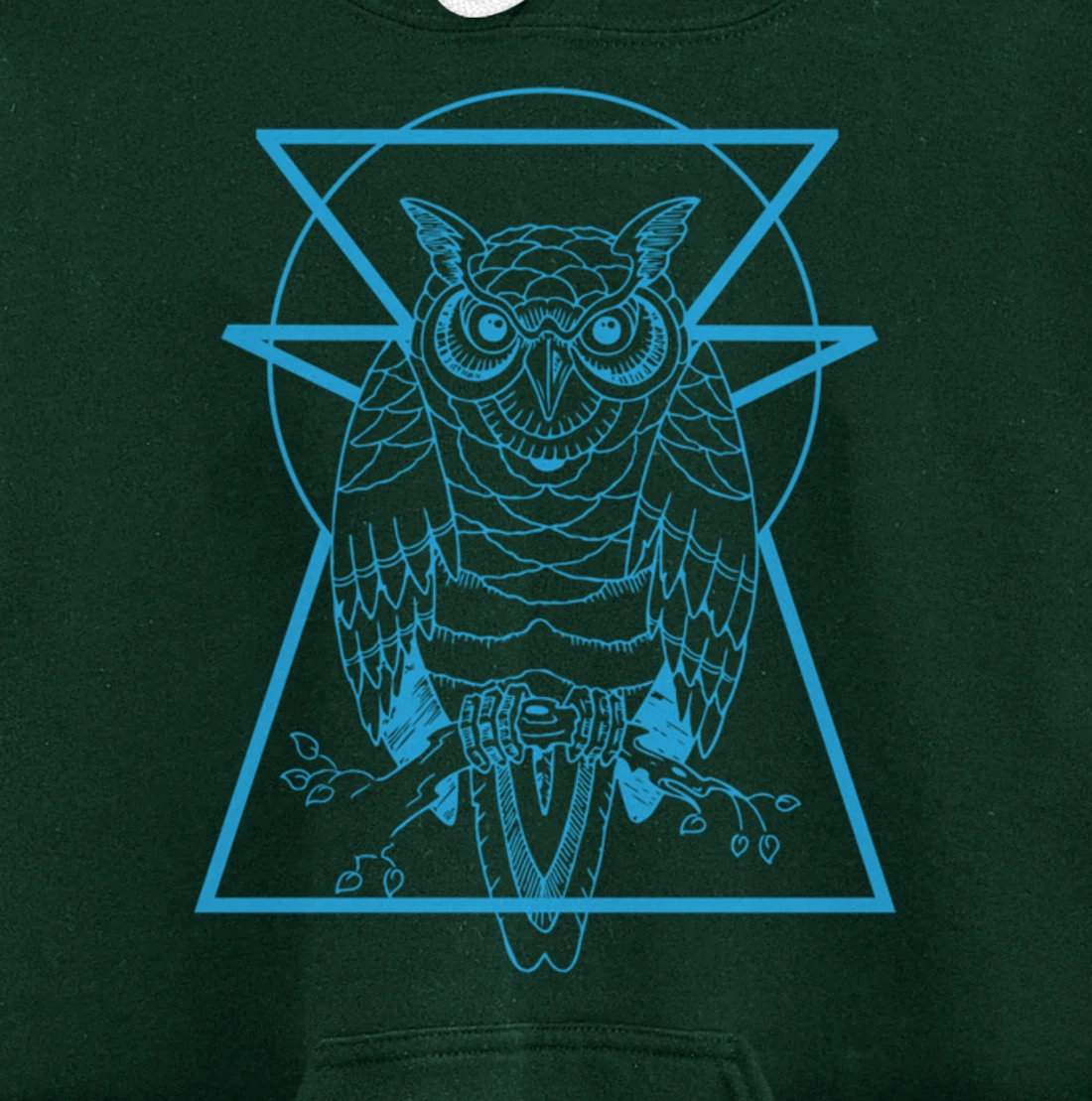 Turquoise Owl Perched With Geometric Shapes Graphic Pullover Hoodie