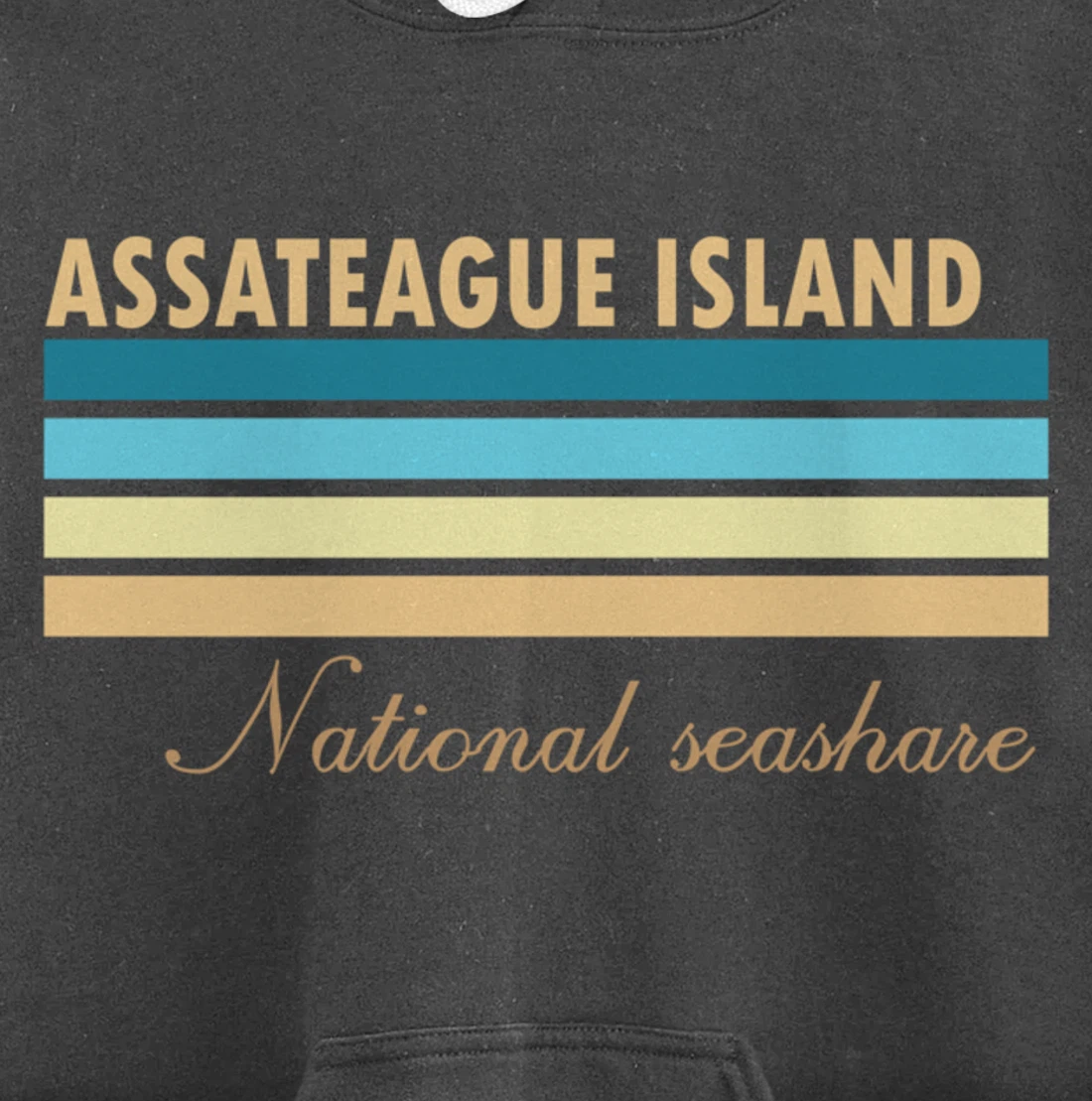 Assateague Island National Seashore Pullover Hoodie