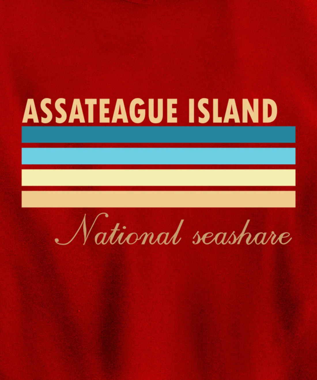 Assateague Island National Seashore Pullover Hoodie