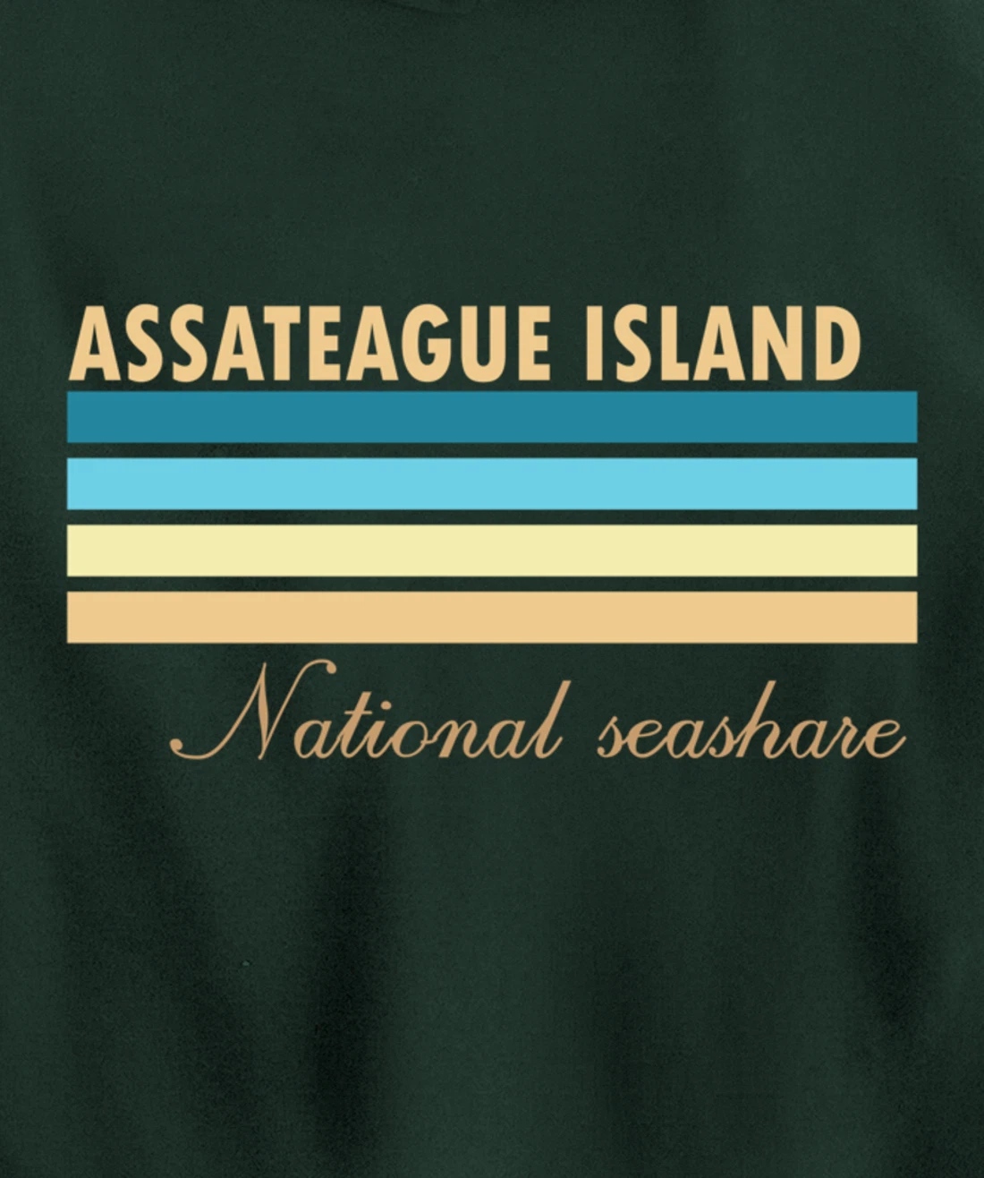 Assateague Island National Seashore Pullover Hoodie