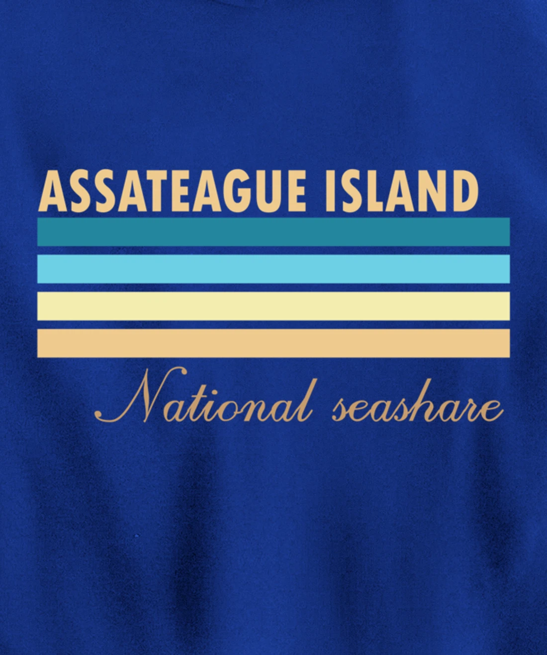 Assateague Island National Seashore Pullover Hoodie